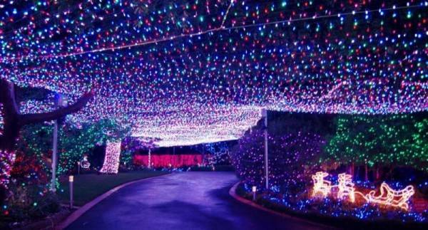 Best Christmas Lights Displays in Australia