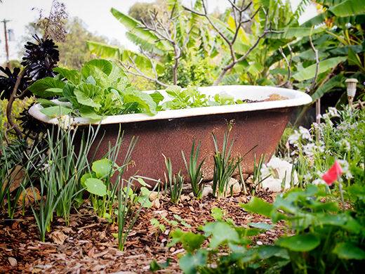 On Trend: 8 One-of-a-Kind Raised Garden Beds