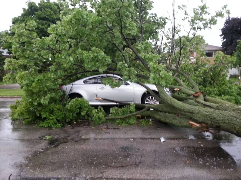 Blasé about the weather? This is what happens when you don’t protect your car - Protect your car from potential falling trees, Australian Outdoor Living.