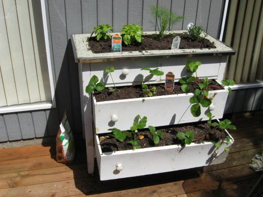 8 One-of-a-Kind Raised Garden Beds - Discarded dressers, Australian Outdoor Living.