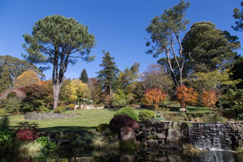 Australian Garden Designs - Mount Wilson Gardens, New South Wales, Australian Outdoor Living.