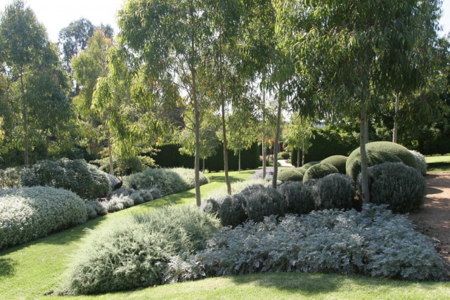 Amazing Australian Native Garden Designs - Native Garden with Lawn, Australian Outdoor Living.