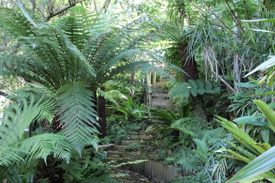 Amazing Australian Native Garden Designs - Go all out with a bushy approach to native gardens, Australian Outdoor Living.
