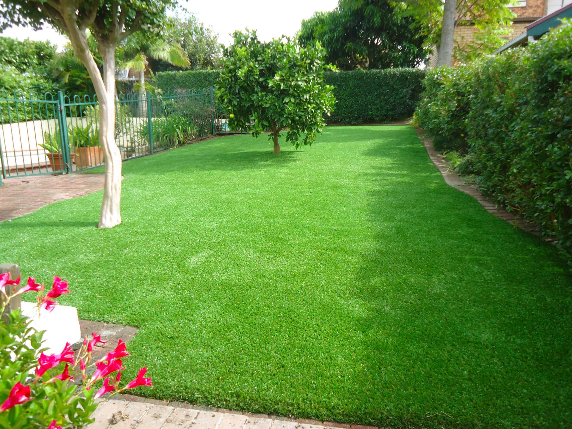5 Advantages of Artificial Lawn - Australian Outdoor Living