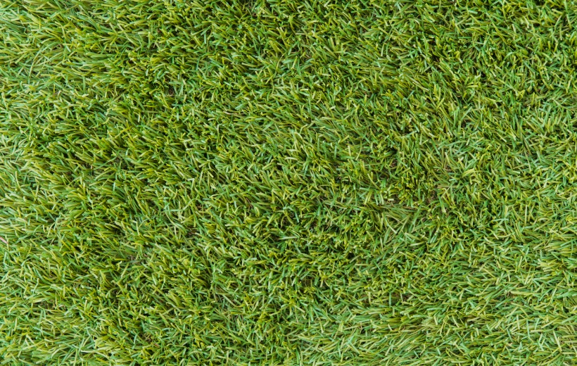 Augusta Artificial Lawn