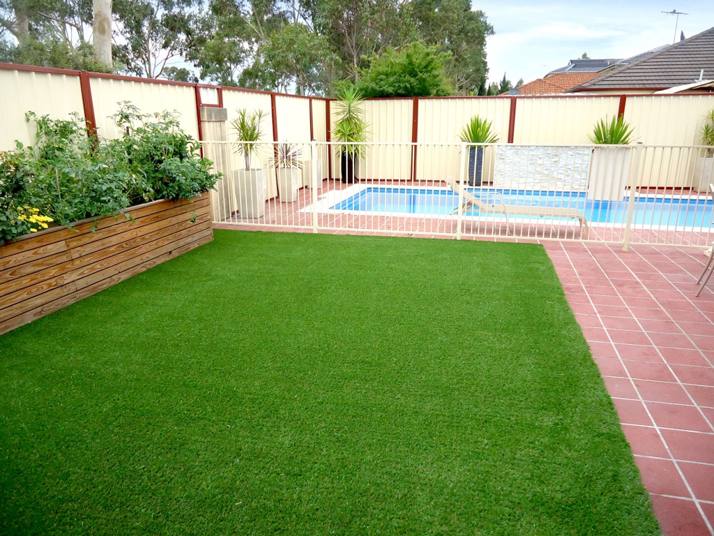 Artificial lawn: FAQs answered by the experts - Artificial grass looks great next to other backyard features, such as paving and a swimming pool, Australian Outdoor Living.