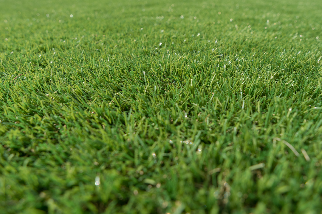 artificial lawn feel and appearance