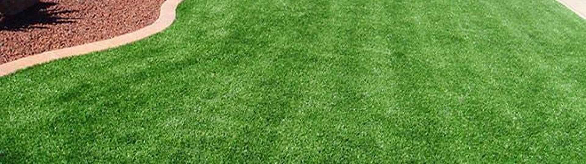 Artificial lawn with curved edge