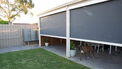 AOL-Motion-Motorised-Automatic-Outdoor-Blinds-Dog-April-2017