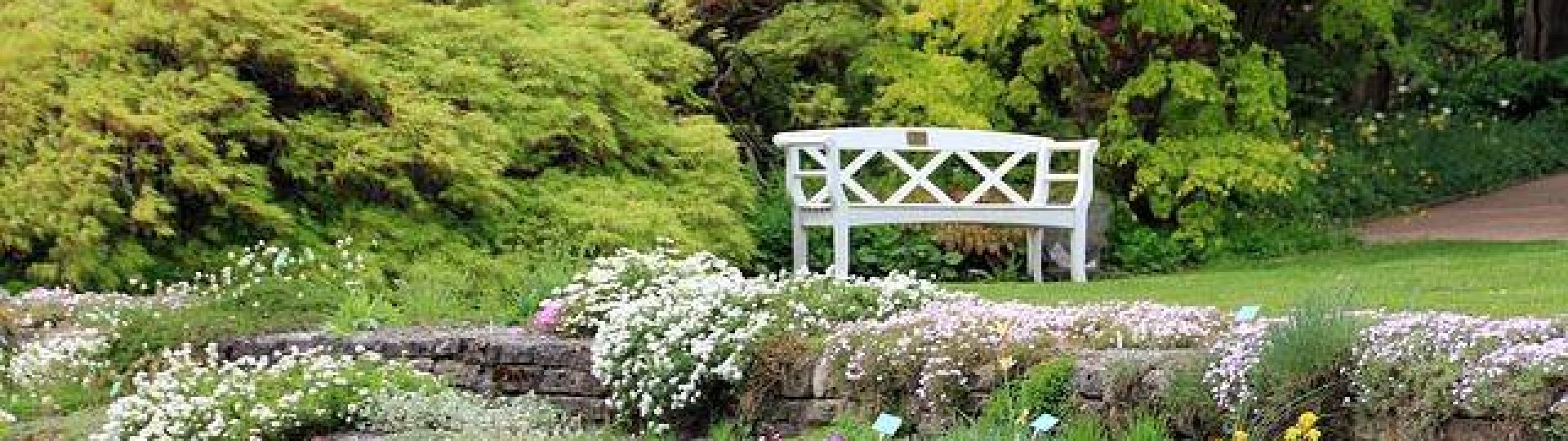 White Bench in Garden